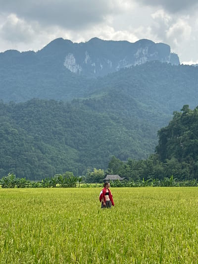 A person stands in a vibrant green rice field, looking out over the landscape under an overcast sky. The image depicts a scenic rural area, identified as Ngọc Đường Commune, Vietnam.
In the foreground, a lush, verdant rice paddy stretches across the lower half of the frame, filled with healthy, bright green plants. A person, appearing to be a woman, is positioned slightly to the left of the center, facing towards the right side of the image. She is wearing a red long-sleeved top with black detailing and black pants. Her posture suggests she is standing and possibly observing the scenery.
In the middle ground, directly behind the rice field, a band of dense green foliage, likely trees, forms a natural boundary. Further in the background, a series of towering, misty mountains rise majestically, their peaks partially obscured by the cloudy sky. These mountains are covered in deep green vegetation, indicating a rich forest environment. The sky above is entirely overcast, with soft, diffused light, suggesting a cloudy day rather than direct sunshine. A small, dark-roofed structure with a traditional architectural style, possibly a small temple or shrine, is visible on the left edge of the rice field, nestled against the treeline.
The overall scene captures a tranquil and picturesque rural setting, characteristic of the Vietnamese countryside. No visible text is present in the image.