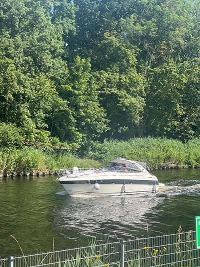 A white motorboat with a dark stripe travels on a body of water, leaving a wake. The boat has a cabin with a window and appears to have at least two people inside. The boat is in motion, heading from left to right in the frame. The scene is set against a backdrop of dense green trees and vegetation on the bank of the water. In the foreground, a silver metal fence runs horizontally across the bottom of the image, with some dry grass and yellow wildflowers growing near it. A green sign with white lettering is partially visible on the right side of the frame. The water's surface is rippled and reflects the sunlight, creating a dappled effect. The overall environment suggests a sunny day in a natural setting, possibly a canal or river. This location is the Teltow Canal in Teltow, Germany, a waterway that connects the Havel River with the Dahme River.