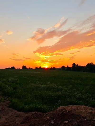 The image depicts a sunset over a rural landscape in Kurovo, Russia. The sky is filled with vibrant hues of orange, yellow, and pink, with wispy clouds catching the last rays of sunlight. The sun itself is a bright orange orb, partially obscured by the horizon, casting a warm glow over the scene.
Below the sky, a vast green field stretches out, dotted with wildflowers. In the distance, a line of trees forms a dark silhouette against the colorful sky, with a few taller trees standing out. The foreground is a rough patch of dirt, suggesting a construction site or an uncultivated area.
The overall mood of the image is peaceful and serene, evoking a sense of tranquility associated with the end of the day. The vibrant colors of the sunset suggest fair weather. There is no visible text in the image.