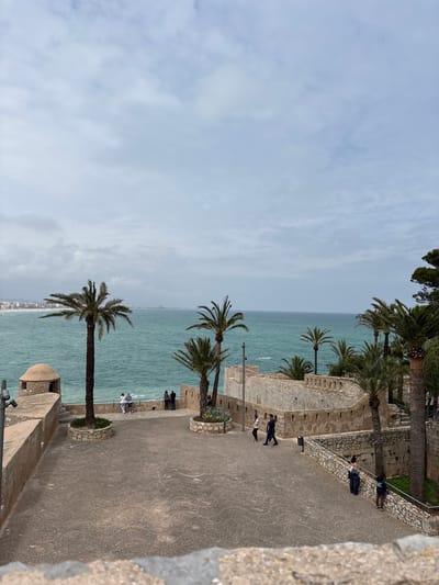 The image captures a waterfront scene in Peníscola, Spain. The view is from an elevated position, likely a stone wall or fortification, overlooking the sea. The sky is partly cloudy with varying shades of grey and blue. The sea, a pale turquoise, stretches to the horizon. Several palm trees are planted along the edge of the wall, their trunks a dark brown and their fronds a vibrant green. People are walking along a patterned stone pathway adjacent to the wall, some leaning against the wall and looking out to sea. The path, light grey and heavily textured, leads into the distance. Structures made of the same light grey stone are visible, including turret-like features. In the distance, the buildings of Peníscola can be seen along the coast.