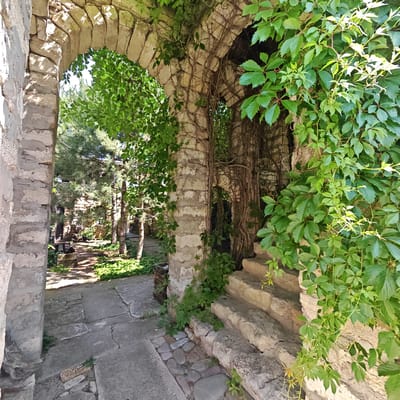 The image displays an architectural scene within the Останинское сельское поселение, Ukraine, featuring a stone archway and adjacent structures heavily overgrown with vegetation. A weathered stone arch, constructed from light-colored, rough-hewn blocks, forms the central subject. Sunlight casts dappled shadows across the arch's irregular surface and visible mortar lines.
To the left of the archway, a paved path of large, flat grey stone slabs extends into a shaded area. This path is bordered by green groundcover, and a wooden planter box is visible to the left. Beyond the arch, a garden-like environment unfolds, characterized by several coniferous trees and additional stone structures in the distance, partially obscured by dense green foliage.
The right side of the archway and an adjacent vertical structure are extensively covered by a thick growth of vibrant green ivy, identified by its palmate leaves with five leaflets (consistent with *Parthenocissus quinquefolia*). Robust, woody vines are deeply intertwined with the stone. To the far right, a set of ascending stone steps, built from similar light-colored blocks and partially shrouded in ivy, completes the scene. The entire area is illuminated by strong, direct sunlight, creating distinct highlights and shadows. No individuals or animals are present.