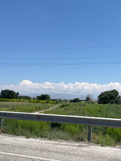 This media file depicts a roadside scene on a clear, sunny day in Mkhchyan, Armenia. The image is oriented vertically, showcasing a vast expanse of blue sky dominating the left side, with three dark, thin power lines stretching across it.

To the right of the sky, a dense line of lush green vegetation forms a backdrop. Tall, mature trees dot the landscape, interspersed with grassy fields and smaller bushes. In the distance, a hazy horizon suggests rolling hills or mountains, possibly meeting a body of water, obscured by atmospheric conditions. A dramatic formation of white, puffy cumulus clouds rises vertically along the transition between the sky and the land.

In the foreground, a silver metal guardrail runs parallel to the road, its metallic surface reflecting the ambient light. The guardrail is supported by gray concrete posts. A small, red triangular reflector is attached to the guardrail. The road surface on the right is composed of cracked asphalt with visible white lane markings. The overall impression is one of a rural or semi-rural setting bathed in bright daylight, likely mid-morning or afternoon given the quality of light. There is no visible text in the image.