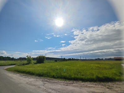 The image depicts a sunny day in a rural or suburban area, likely on the outskirts of Ковригино, Russia. A dirt road curves from the left foreground into a vibrant green grassy field. In the middle ground, two trees stand in the field, with a line of trees and foliage forming a distant treeline. Beyond the treeline, there are scattered buildings and fences, suggesting a residential area. The sky is a bright blue, dominated by a brilliant sun with visible rays radiating outward. There are scattered white clouds, some of which appear more textured and gray. Power lines and utility poles are visible in the mid-distance. The overall impression is a landscape scene bathed in strong sunlight, characteristic of a clear day.