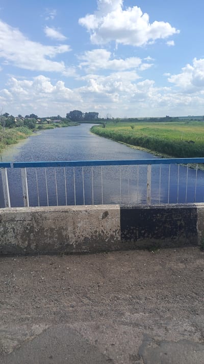 The image shows a view from a bridge looking out over a river. The river is blue and calm, with some greenery growing on its banks. In the distance, there are some houses and trees. The sky is blue with white clouds. The bridge railing is white with a blue top. The foreground of the image shows the concrete structure of the bridge. The location is identified as Rybushka, Russia.