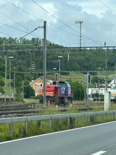 The image captures a railway scene in Zurzach, Switzerland, on an overcast daytime. Two locomotives are central to the composition, positioned on multiple railway tracks that run through a semi-urban and forested landscape.

The most prominent locomotive is red, featuring yellow handrails and marked with "SBB CARGO," "K 1700," "www.sbbcargo.com," and the identification number "1 843 089-4." Behind and slightly to its left, a blue locomotive is visible, also displaying "SBB CARGO" and a large, prominent number that appears to be "100." Both trains are under an extensive network of overhead power lines and signal structures, typical of an electrified railway. Multiple railway signals with black housings and visible light compartments are present near the tracks.

To the immediate right of the railway tracks, a grey metal guardrail separates the tracks from a paved road, which features a white dividing line. Grass and some wildflowers grow in the space between the guardrail and the tracks.

In the mid-ground and background, the landscape consists of dense green trees covering hillsides. Several residential buildings, including houses with pitched roofs and light-colored facades, are nestled among the trees. The sky above is largely covered with grey clouds, suggesting an overcast day with diffused lighting. The scene presents a functional railway infrastructure integrated with residential and natural elements.