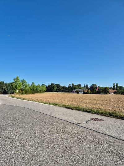 A wide-angle, low-angle shot captures a rural scene in Desselbrunn, Austria, under a clear blue sky. In the foreground, a grey asphalt road curves from the left into the frame, casting a long shadow from an unseen object to the right. A circular manhole cover with a patterned surface is visible on the road surface, its shadow stretching towards the left. To the right of the road, a dry, golden-brown field stretches into the distance. Beyond the field, a line of trees with vibrant green foliage forms a natural barrier. In the background, several houses with terracotta roofs are nestled amongst the trees. The overall impression is one of a quiet, sun-drenched rural landscape on a clear day.