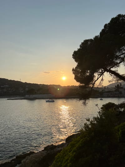 A sunset view over water, framed by dark foliage. The sun, a bright orb, casts a golden glare on the water's surface. Silhouetted trees and a rocky coastline dominate the foreground. A distant shoreline with structures is visible under the fading light. A single boat floats in the water, reflecting the sun's light. The sky is a gradient of pale blue and orange near the horizon.