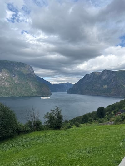 The image depicts a panoramic view of the Aurlandsfjorden in Aurlandsvangen, Norway. In the foreground, a lush green grassy slope dotted with small white flowers slopes down towards the water. Towards the middle ground, a cluster of trees and dense vegetation line the edge of the fjord. In the distance, a large white cruise ship is visible navigating the dark, calm waters of the fjord. Towering, steep mountains with green, tree-covered slopes rise dramatically on either side of the fjord, their peaks partially obscured by a dramatic, overcast sky filled with grey and white clouds. A few small houses with red roofs are nestled into the hillside on the right side of the image. The overall scene conveys a sense of serene natural beauty and grandeur.