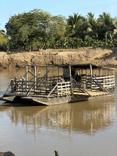 The image depicts a wide river in Mata De Caña, Colombia, with a wooden structure built upon connected canoes. The structure has a two-story design with wooden beams and platforms. People are observed on both levels. The riverbank is visible on the left, covered with dense vegetation including trees and palm trees. The water has a muddy, reflective surface. A part of the wooden structure is connected to the bank with a set of planks.
