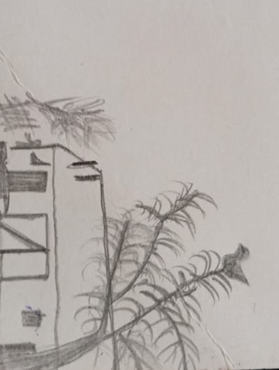 The image is a pencil sketch illustrating an outdoor scene in Jarqurgon, Uzbekistan. On the left side, a portion of an architectural structure is visible, characterized by rectilinear frames and diagonal supports. Adjacent to this, a vertical utility pole stands, equipped with two horizontal cross-arms extending to the right. The central and right areas of the sketch are dominated by a tree with multiple branches bearing dense, elongated leaves. A small, indistinct animal, possibly a bird or squirrel, is perched on one of the tree's upper right branches. The background is unadorned. No human figures are depicted within the scene.