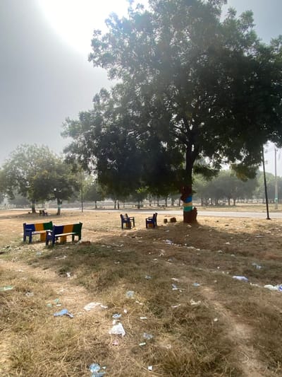 This image depicts an outdoor area within Yan Dala, Nigeria, characterized by dry, yellowish-brown grass covering the ground. Extensive litter, including plastic bags, bottles, and wrappers, is scattered across the foreground and midground. Several large, leafy trees are visible; a prominent tree in the midground right has its trunk wrapped with horizontal bands of blue, yellow, and green fabric. Two dark blue plastic chairs are positioned beneath this tree, accompanied by a yellow bucket or container near its base. To the left midground, two multi-colored concrete or stone benches, painted in blue, yellow, and green, are present. A paved road or pathway runs horizontally across the mid-to-background, bordered by additional trees further back. The sky is bright and hazy, with a visible sun glare in the upper left quadrant. A utility pole is partially visible on the far right. No individuals, actions, or interactions are depicted.