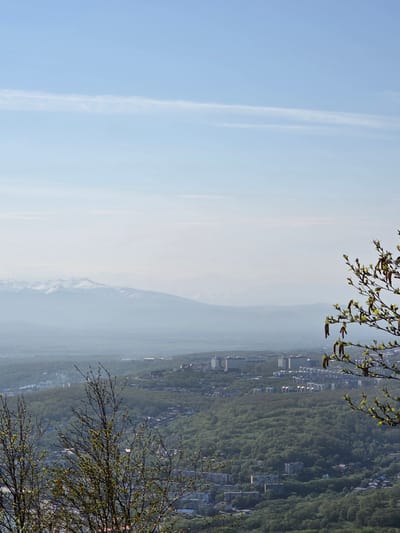 The image presents a panoramic view from an elevated position overlooking a city nestled amidst lush green hills. In the foreground, the delicate branches of trees with new spring foliage are visible, some adorned with catkins. The city itself is a mosaic of buildings, ranging from low-rise residential structures to taller apartment blocks, interspersed with pockets of dense forest. A hint of industrial activity might be suggested by some wisps of smoke in the distance. Further back, the landscape unfolds into a hazy expanse, with a range of majestic mountains capped with snow forming a distant backdrop under a clear, pale blue sky with a faint, linear cloud. The scene evokes a sense of tranquility and natural beauty, with the urban development harmoniously integrated into the surrounding environment. The location is identified as Krutoberegovy, Russia.