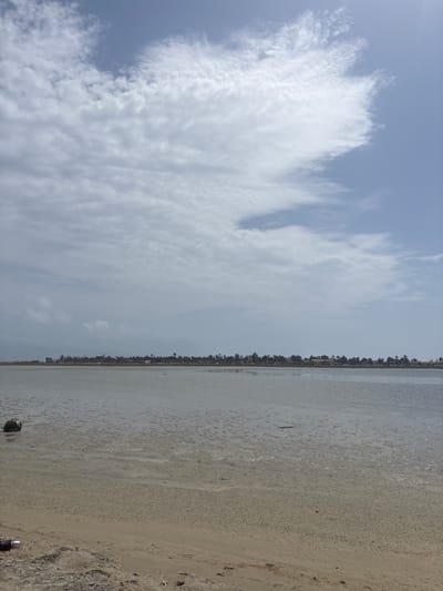 The image depicts a panoramic view of a shallow body of water meeting a sandy shore, under a partly cloudy sky. The horizon is marked by a line of trees and buildings, suggesting a coastal or lakeside settlement. The water's surface is largely still, with patches of exposed sand or mudflats indicating a low tide or shallow depth. The foreground consists of a sandy beach with some scattered debris. The scene appears to be located in Tezdaine, Tunisia, given the context. No people or specific actions are discernible.
