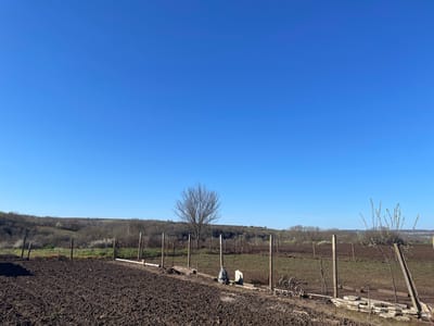 The image depicts a rural scene near Slaveevo, Bulgaria, under a clear blue sky. The foreground shows freshly tilled soil, likely a cultivated garden or field. A rudimentary fence constructed of wooden posts and wire mesh separates the tilled area from a more overgrown area. Beyond the fence, vegetation includes a variety of trees and shrubs, some still bare, suggesting early spring. One prominent bare tree stands centrally. In the background, a gentle slope indicates undulating terrain. Debris, including concrete blocks and other materials, is scattered along the fence line. No people are visible in the image.