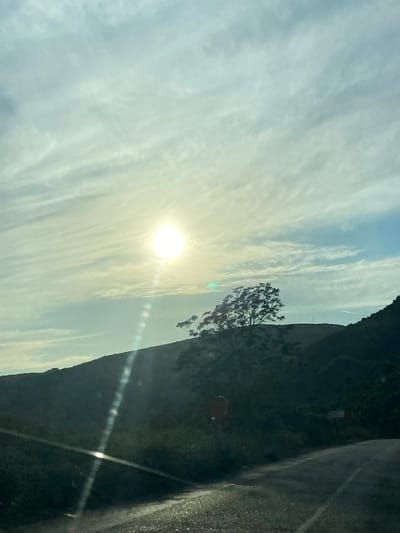 The image depicts a sunlit scene with a bright sun high in a hazy, cloud-streaked sky. A silhouetted tree stands on a dark, grassy hillside. A paved road curves in the foreground. The overall setting appears to be a natural, possibly rural, environment. The image is taken from a moving vehicle, as evidenced by the lens flare streaking across the scene and the slightly blurred appearance. There are no people visible. The specific location in the city of Kubasi, Montenegro, is not discernible from the visual information provided in the image.