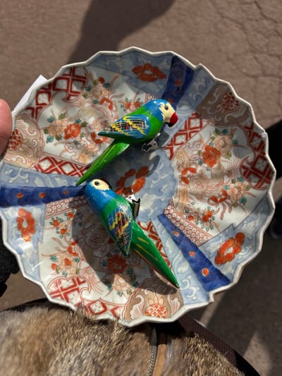 An overhead shot captures two colorful, stylized bird-shaped clips resting on an ornate, scalloped-edge ceramic plate in Neuilly-Plaisance, France. The plate, held by a light-skinned hand visible on the left, features intricate patterns of blue, red, orange, and brown floral and geometric motifs on a pale background. The two avian figures, positioned in the upper and lower central areas of the plate, are predominantly blue and green with yellow accents, white faces, and red beaks, each equipped with a metal clip mechanism. A section of light brown fur texture, possibly a garment or animal, with a visible zipper, occupies the lower left corner below the plate. The scene is illuminated by strong natural light, casting distinct shadows from the birds onto the plate and suggesting an outdoor environment with a light-colored ground surface visible in the out-of-focus background.