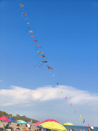 A long string of colorful kites in various shapes and sizes are flying against a bright blue sky, some with long tails, as they stretch diagonally across the frame from the upper left towards the lower right. The kites are suspended at different heights and distances, creating a festive and dynamic visual effect. Below the kites, a beach scene unfolds. Several beach umbrellas in vibrant colors like red, blue, green, and yellow are set up on the sand. Some people are visible sitting or lying under the umbrellas, and others are walking or standing on the beach. The coastline curves gently in the background, with a line of green trees and vegetation visible on a gentle slope. The sea is calm and extends to the horizon. The image appears to be taken in the city of Castiglione della Pescaia, Italy, a coastal town known for its beaches and summer atmosphere. The overall impression is one of a sunny, leisurely day at the beach with a lively kite display.