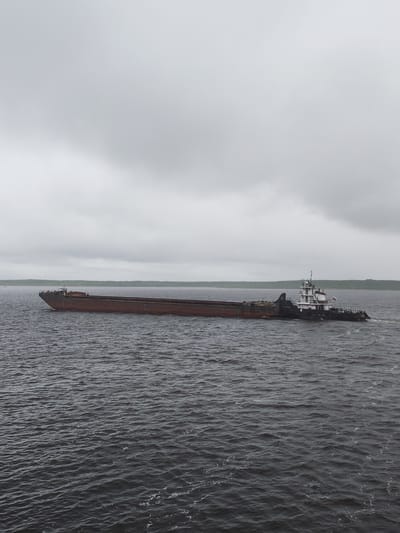 A barge and tugboat travel across a body of water. The barge is long, red, and low in the water. The tugboat is white and black with multiple levels. The water is dark and choppy. A strip of green trees lines the distant shore. The sky is overcast and grey. The vessel bears the Russian flag. Based on the location, this would be somewhere on the Volga River near the city of Gorushka, Russia.
