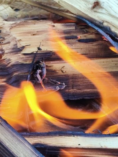 The image shows a close-up view of burning logs in what appears to be an outdoor setting. The fire is actively burning, with bright orange and yellow flames licking around the wood. The wood itself is dry and shows signs of charring. The texture of the wood grain is clearly visible, with some areas appearing lighter and others darker due to the fire. The overall impression is one of intense heat and combustion. The scene is devoid of any human presence or other identifiable objects that would suggest a specific location within Радуга Снт (ботово), Russia, beyond the general context of a fire in a wooded area.