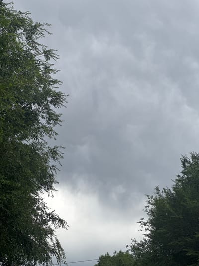 The image depicts a view of the sky from below, framed by the dense green foliage of trees on the bottom and sides. The sky is predominantly overcast with grey clouds, suggesting a cloudy or potentially stormy day. There is a brighter patch of sky visible towards the right, possibly indicating where the sun is attempting to break through or a break in the clouds. The trees are lush and full, with many leaves rustling and appearing to sway, which could imply windy conditions. The perspective suggests the viewer is outdoors, looking upwards. There are no people or specific man-made objects clearly visible, apart from a thin wire extending vertically on the right side of the frame, which could be a power line or similar utility. The overall mood conveyed is one of nature and the elements, with a somewhat dramatic or moody atmosphere due to the heavy clouds. No text is visible in the image. The location context provided is село Умбеталы Карибаева, Kazakhstan, which places this natural scene within a rural or semi-rural setting in that region.