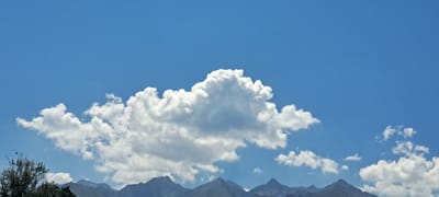 This image captures a panoramic view of the sky above a mountain range, likely in the vicinity of Bash-Kaiyndy, Kyrgyzstan. The sky is a vibrant blue, largely unblemished except for a prominent cluster of white, fluffy cumulus clouds dominating the upper half of the frame. These clouds are illuminated by sunlight, giving them a bright, airy appearance. Below the clouds, the rugged silhouettes of mountains are visible, their peaks appearing dark against the sky, suggesting they are either shadowed or covered in dark rock. The lower portion of the image shows a sliver of vegetation, including the top of a tree on the left side, which appears dark and somewhat sparse, with at least one small bird perched on a branch. The overall scene conveys a sense of natural beauty and open space.
