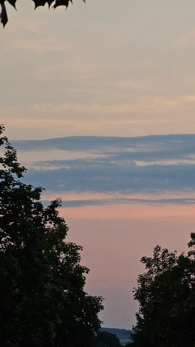 This is a vertical, medium-shot photograph taken at dusk in Roßleben, Germany. The sky dominates the frame, displaying a gradient of pale pink and blue hues. Several layers of thin, wispy clouds are visible, ranging in color from light blue to white. In the foreground, silhouetted against the sky, are the dark green leaves and branches of trees on the left and right sides of the image, creating a framing effect. The very top of the image shows the dark silhouettes of more leaves. In the distance, a faint outline of rolling hills can be discerned. There are no people or any specific objects that would indicate a particular urban setting beyond the implied natural landscape of Roßleben. The overall impression is a serene, natural scene at sunset.