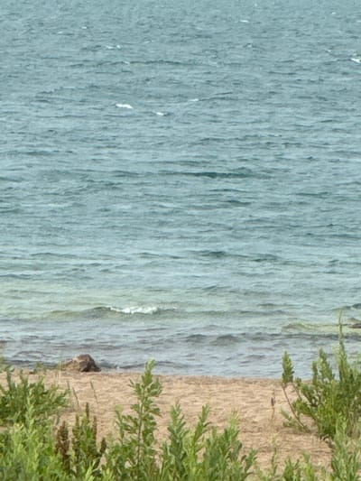 The image shows a body of water with choppy waves under an overcast sky. In the foreground, there is a sandy beach with sparse green vegetation. A single dark-colored rock is partially submerged in the shallow water near the shore. There are no people visible in the image. The scene depicts a natural, unpopulated coastal environment.