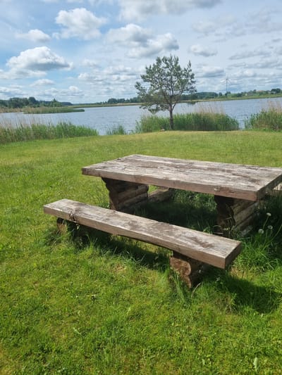 An outdoor wooden picnic table and bench are situated on a grassy lawn facing a calm body of water. The table and bench are constructed from rough-hewn, weathered logs and planks, giving them a rustic appearance. Tall reeds and grass grow along the water's edge, and a solitary pine tree stands between the picnic area and the lake. In the background, across the water, a treeline marks the horizon, with a few buildings and a wind turbine visible in the distance under a partially cloudy sky. The scene appears to be located in or near the city of Kalniškiai, Lithuania, and evokes a sense of peaceful natural scenery.