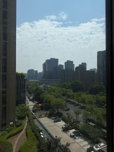 The image shows a cityscape in Binjiang District, China, viewed from an elevated position, possibly a high-rise building. The sky is blue with scattered clouds. Several modern high-rise buildings are visible in the distance, with some under construction. Closer to the viewer, there are mature trees lining a street with parked cars on the side. There is a pedestrian walkway with manicured bushes and a stone-paved path. The foreground features the top of another building.