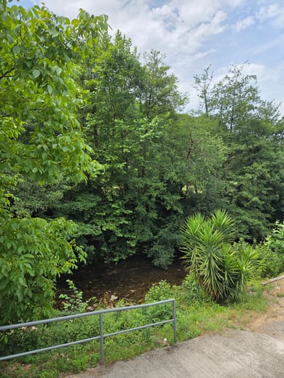 The image captures a view of the river in Doneztebe / Santesteban, Spain. In the foreground, a grey metal railing runs horizontally, separating a concrete pathway from the lush vegetation and the riverbank. The railing is supported by vertical posts. Beside the railing, green grass and various plants grow. A river with clear water and visible rocks flows gently, bordered by dense green trees and bushes that form a natural canopy. To the right, two spiky, palm-like plants stand out amongst the greenery. The sky above is a mix of blue with scattered white clouds. The overall scene is serene and natural, showcasing the riverside environment of the town.
