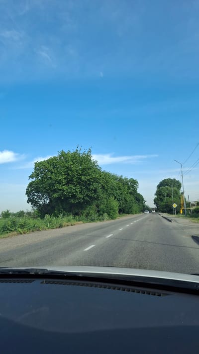 A view from a car traveling on a road in Панфилово, Kazakhstan, shows an asphalt road with a white dashed center line, bordered by green trees and vegetation, under a blue sky with scattered clouds. There is a street light and a yellow diamond-shaped road sign visible in the distance. Two vehicles are seen further down the road. The car's interior and dashboard are partially visible.