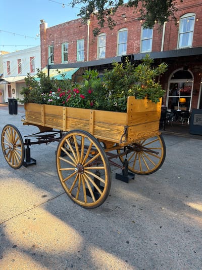 A wooden wagon filled with plants sits on a cobblestone street in front of brick buildings. The wagon has large wooden wheels and a wooden planter box overflowing with green foliage and pink and white flowers. The brick buildings appear to be shops or restaurants, with awnings and windows visible. String lights are strung across the street overhead, and the sunlight casts long shadows on the ground. A trash can is visible to the left of the wagon. The scene suggests a charming, historic urban setting, possibly in the city of Savannah, Georgia, known for its historic architecture and cobblestone streets.