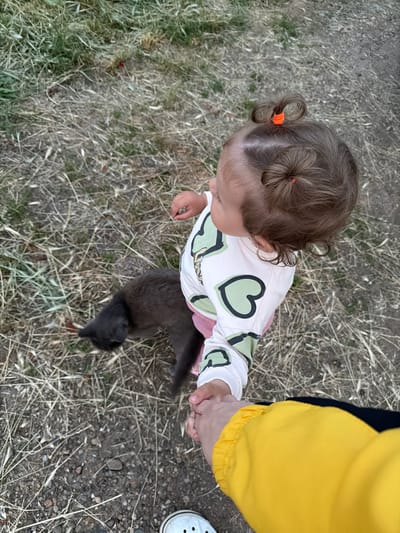 In Komsomolskiy, Russia, a toddler with hair styled in two buns is being led by the hand by an adult. The toddler is wearing a white long-sleeved shirt with green heart designs and pink bottoms. A gray cat is walking near the toddler's feet. The scene takes place outdoors on dry grass and dirt. An adult's hand, wearing a yellow jacket, is holding the toddler's hand. The background shows dry grass and gravel.