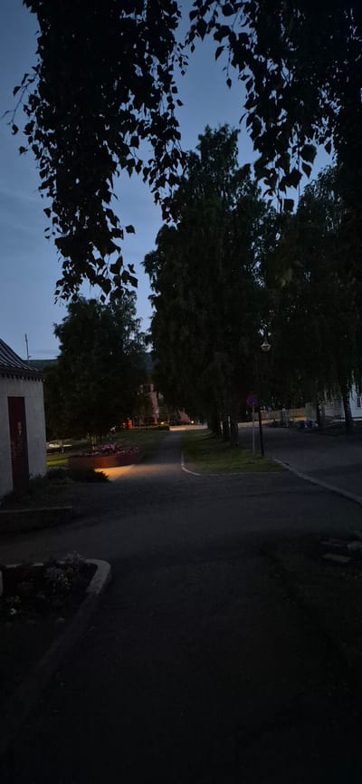The image depicts a scene in Lillehammer, Norway, during dusk or early evening. In the foreground, a dark asphalt path curves to the left, bordered by grass and a raised planter with blooming flowers that are illuminated by a light source. To the left, a portion of a building with a light-colored wall and a red-framed door is visible.

Dominating the middle ground and background are several tall, slender trees with dense foliage, casting shadows and creating a slightly somber atmosphere. The trees line what appears to be a street or walkway, suggesting an urban or suburban setting. In the distance, the outlines of buildings are faintly discernible against the darkening blue sky. A street lamp is visible between the trees, its light not yet fully illuminated. The overall lighting suggests a transition from day to night, with natural light fading and artificial light beginning to take over. There are no people or animals visible in the image.