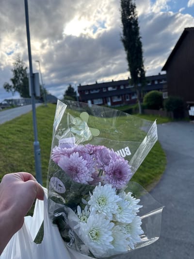 A person's hand is holding a white plastic bag with a bouquet of purple and white chrysanthemums inside. The bouquet is wrapped in clear plastic. The background shows a cloudy sky, a tall tree, and a residential building. In the middle ground, there is a grassy slope next to a paved path. A light post is visible on the left side of the image. This scene appears to be in a residential area in Trondheim, Norway, likely during daytime.