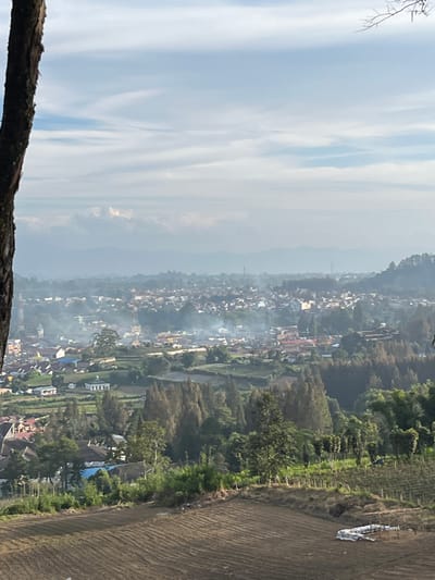 An aerial view of a densely populated town, possibly Laugumba, Indonesia, is captured under a hazy sky with scattered clouds. The town is nestled in a valley, surrounded by lush green hills and forests. Smoke rises from various parts of the town, suggesting cooking fires or industrial activity. The foreground features agricultural fields with neat rows of tilled soil, indicating recent cultivation. A large tree trunk dominates the left side of the frame, partially obscuring the view. The overall impression is one of a rural community engaged in agricultural and daily life.