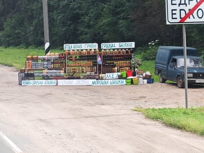 A roadside stand displaying a variety of preserved goods and wild edibles is situated in Yedrovo, Russia. The stand features multiple shelves laden with jars of what appear to be pickles, jams, and possibly honey, along with baskets of dried goods. Signs indicate offerings of "ЯГОДА ЛЕСНАЯ ГРИБЫ" (Wild Berries Mushrooms), "ГРУЗДЦЫ БЕЛЫЕ" (White Milk Mushrooms), "МЕД" (Honey), "ЧЕРНИКА БРУСНИКА КЛЮКВА" (Blueberry Lingonberry Cranberry), "ГОЛУБИКА ЛИСИЧКИ" (Blueberry Chanterelles), and "МОРОШКА-ШИШКИ" (Cloudberry-Cones). A dark blue van is parked behind the stand, partially obstructing the view. A white sign with red diagonal lines and Cyrillic text is visible to the right of the scene, marking the city limits of Yedrovo, Russia. The environment is rural, with a dirt road in the foreground and a dense forest in the background. No people are visible in the image.