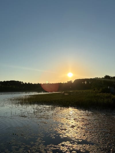 A serene sunset over a calm lake is depicted in this image, potentially located in Chikino, Russia. The sun, a bright, luminous orb, hangs low in the sky, casting a warm, golden glow across the scene. Its light reflects brilliantly on the water's surface, creating a shimmering path that leads towards the foreground. The lake is dotted with lily pads and reeds, their dark silhouettes contrasting with the bright reflections. A dense line of trees forms the horizon, their dark green foliage silhouetted against the fading light of the sky. The sky itself is a gradient of soft blues and oranges, transitioning from a clear expanse at the top to warmer hues near the horizon where the sun is setting. The overall atmosphere is one of tranquility and natural beauty.