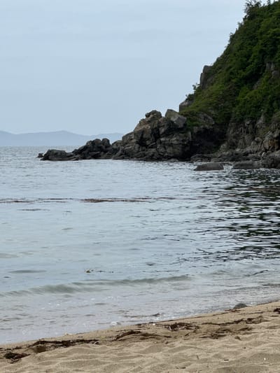 The image depicts a serene coastal scene. In the foreground, a sandy beach stretches across the bottom of the frame, with some scattered seaweed and debris. Gentle waves lap at the shore, creating a foamy edge. Beyond the beach, the calm, grey water extends towards a rocky outcrop on the right side of the image. This rocky formation is covered in lush green vegetation, with trees and bushes clinging to its steep slopes. In the distance, misty, blue-hued hills are visible on the horizon under an overcast sky. The scene appears to be a natural, undeveloped coastline, likely a remote beach area. There are no people or animals visible in the image. The overall impression is one of quiet solitude and natural beauty.