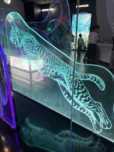 The scene depicts an interior view of an exhibition space, located within Guangming District, China. The primary subject is a large, upright acrylic panel in the foreground, featuring an etched illustration of a lynx mid-leap, illuminated by internal cyan-colored light. The lynx faces left, exhibiting detailed fur patterns and musculature. A partial purple-illuminated panel is visible to the left. A distinct, wavy reflection of the cyan lynx is cast onto the dark, polished floor. In the background, multiple individuals are present: two children, one facing away in a light shirt and dark pants, stand near a large digital display emitting bright blue-green light, which shows an indoor structured environment, possibly a cultivation facility with plants. Another child in a white shirt and an adult are partially visible to the right, interacting with unseen exhibits or counters. A dark wall panel in the mid-ground bears partial white Chinese characters: '科学与...' (Science and...). The overall environment is dimly lit, consistent with a modern museum or science center.