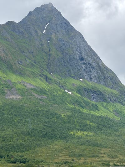 The image depicts a vast, overcast mountain landscape in Gullesfjord, Norway. The mountain's peak is rugged and rocky, with patches of snow still visible on its upper slopes, suggesting a cool climate. The lower parts of the mountain are covered in a vibrant green, grassy vegetation, with sparse trees dotting the slopes. In the foreground, a dense forest of green trees stretches across the landscape. A power line supported by a metal pylon cuts across the forest. Further in the distance, a small red building is visible near the edge of the forest. The overall scene is tranquil and natural, characteristic of the Norwegian countryside.