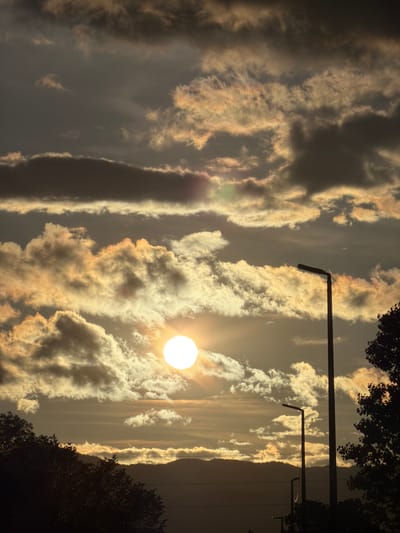 The vertical image presents a dramatic sky scene, likely captured during sunrise or sunset, characterized by vivid light and cloud formations. A brilliant, almost perfectly circular sun, intensely bright and white, is prominently featured on the right side of the frame, positioned slightly below the horizontal midline. Its powerful light generates a noticeable lens flare and casts a radiant, golden-orange glow across the surrounding clouds.

The sky is largely filled with numerous cloud formations, which vary significantly in their illumination and texture. Many clouds are brightly lit with warm golden, yellow, and orange tones, while others appear darker and more shadowed. A notable detail is the presence of iridescence on some cloud edges, displaying subtle, faint rainbow-like colors that indicate specific atmospheric conditions. These clouds generally stretch in vertical bands and patches across the frame.

Several dark, silhouetted objects resembling streetlights or utility poles traverse horizontally across the upper right section of the image. Their stark, angular forms provide a contrast to the softness of the clouds and the brilliance of the sun. Dark, indistinct foliage, likely from trees, frames the scene along the very top and bottom edges.

No people are visible in the image, nor is any text. The photograph encapsulates a serene yet striking natural phenomenon, emphasizing atmospheric light and cloud dynamics within an outdoor setting in Nikšić, Montenegro.