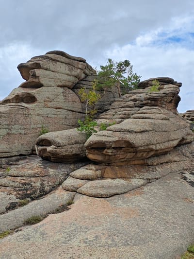 This image captures a view of unusual rock formations in Bayanaul National Park, located in the Pavlodar Region of Kazakhstan, near the city of Торайғыров. The rocks are weathered and layered, with smooth, rounded surfaces and distinct horizontal striations. Several small trees and patches of green vegetation are growing from crevices and at the base of the rocks. The sky above is overcast with a mix of grey clouds and patches of blue sky. The overall scene is natural and rugged, highlighting the geological features of the area. There are no people or animals visible in the image.