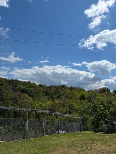 The image displays a bright, partly cloudy daytime landscape, likely in Bokilovtsi, Bulgaria. The upper portion of the frame is dominated by a clear blue sky, interspersed with numerous fluffy white cumulus clouds. Two distinct, dark power lines stretch horizontally across the sky, suggesting utility infrastructure.
Below the sky, a lush, green hillside covered densely with deciduous trees forms a significant part of the midground. Several houses or buildings with reddish-brown roofs are partially visible peeking through the tree canopy on the hillside, indicating a settlement within the wooded area.
In the foreground, a tall chain-link fence runs horizontally across the bottom and mid-section of the image, separating a well-maintained grassy area on the right from the dense trees on the hillside. The fence has a sturdy metal framework or support structure. The grass appears neatly mowed.
The overall scene suggests a pleasant, sunny day in a natural or semi-rural environment, with human habitation integrated into the hilly, forested landscape. There are no people visible, and no specific activity or event is taking place beyond the static view of the landscape. No visible text is present in the image.