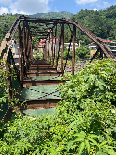 The image depicts a rusty metal truss bridge spanning a turquoise river in Adjaristskali, Georgia. The bridge is old and appears to be disused, with visible signs of rust and decay on its metal structure. Through the bridge's framework, several buildings with red-tiled roofs and some with modern facades are visible in the background, nestled against lush green hills. Dense foliage, including large-leafed plants and smaller leafy bushes, encroaches on the bridge from the foreground, partially obscuring the view of the river and the bridge's lower sections. The sky above is blue with scattered white clouds. There are no people visible in the image. The scene suggests a rural or semi-rural setting where nature is reclaiming a man-made structure.