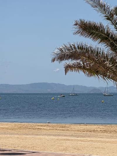 This is a vertical, eye-level shot of a beach on a clear, sunny day. In the foreground, a sandy beach with visible palm fronds casting shadows from the top right of the frame. The water is a deep blue, with a few yellow buoys scattered across the surface. Several sailboats are visible in the distance, along with a small motorboat. Beyond the water, a hazy mountain range forms the horizon. The sky is a pale blue with a few wispy clouds. A lone seagull stands on the wet sand near the waterline. The scene appears to be a serene coastal landscape, likely in the municipality of San Pedro del Pinatar, Spain, known for its beaches and proximity to the Mar Menor lagoon.
