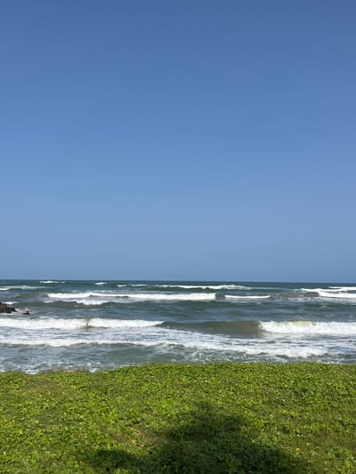 The image shows a bright, sunny day at a beach in Moratuwa, Sri Lanka. A clear, bright blue sky occupies the upper half of the frame. Below the sky, the ocean stretches across the middle of the image, with multiple rows of white-capped waves rolling towards the shore. The water appears a deep, dark green-blue. In the foreground, a dense carpet of vibrant green low-lying vegetation covers the land. The vegetation is lush and appears to be growing on a slight incline leading down towards the beach. Shadows of unseen objects are cast on the green ground from the right side of the frame. There are no people or animals visible in the scene. The overall impression is a serene and natural coastal landscape.