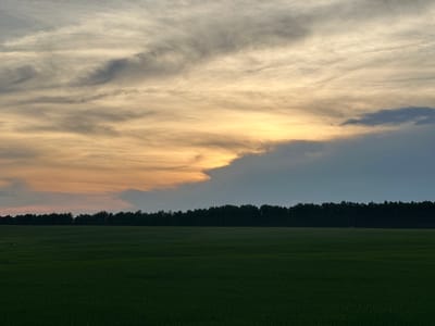 This media file captures a serene landscape in Ol'gino, Russia, likely during the golden hour of sunset. The scene is divided into three distinct horizontal bands: a vast green field in the foreground, a dense line of dark trees forming the horizon, and a dramatic sky filled with wispy clouds.

The field, a rich, dark green, appears to be a cultivated area, possibly farmland, stretching across the lower half of the image. Its texture suggests a low crop or grass, and the subdued lighting hints at the approaching evening.

Behind the field, a continuous band of dark green trees creates a sharp, silhouetted horizon. The dense foliage suggests a forest or a well-established tree line.

The sky is the most dynamic element. It transitions from a soft, warm yellow and peach glow on the left, where the sun appears to be setting, to a cooler, darker grey on the right. The clouds are thin and streaky, with some appearing almost translucent, painted with strokes of white and gray. The overall mood conveyed is one of peacefulness and natural beauty, with a touch of melancholic twilight. The time of day is clearly evening, as indicated by the warm, directional light in the sky and the deepening shadows. No people, objects, or text are visible in the image.