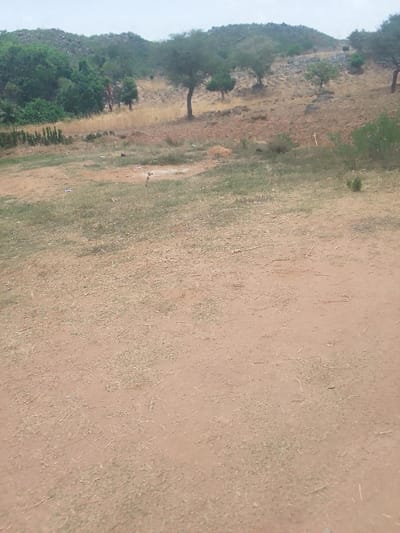 The image shows a barren, dusty, and dry land in Kwal, Nigeria. The land appears to be a dirt road or a clearing in the bush. The ground is covered in sparse, dry, light brown grass. The land is mostly flat, with a slight incline in the distance where there is a hillside covered in sparse vegetation. The scene is taken from a low angle, looking towards the hill. There are no people or objects in the foreground, except for some small sticks and twigs on the ground. The sky is a light grey with an overcast look. There are small trees and bushes sparsely scattered in the distance, giving the scene an arid, dry, and empty feel. The image is likely taken in the dry season.