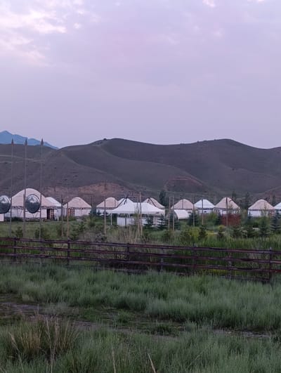 The image depicts a yurt camp nestled in a valley with rolling hills in the background. The sky is overcast with soft, diffused light, suggesting either early morning or late evening. The foreground is filled with tall green grass and a rustic wooden fence. Behind the fence, a row of traditional yurts with white fabric coverings and decorative patterns are visible. Some yurts have open doorways, hinting at their use as dwellings or accommodation. To the left, two tall spears with ornamental round shields at their base stand guard, adding a historical or cultural element to the scene. The overall atmosphere is serene and peaceful, evoking a sense of natural beauty and traditional living. The location cues, such as the yurts and the landscape, strongly suggest a setting in Central Asia, consistent with Naryn, Kyrgyzstan. No text is visible in the image.